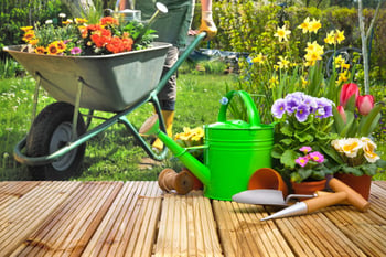 Dos and Don’ts of Backyard Improvement